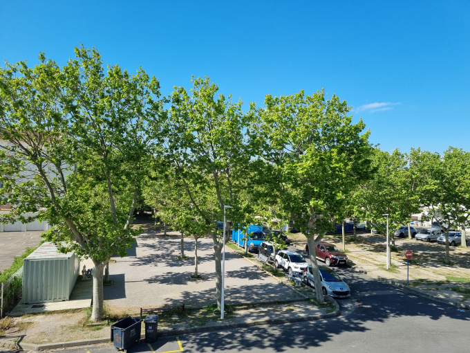 Offres de vente Appartement Gruissan (11430)